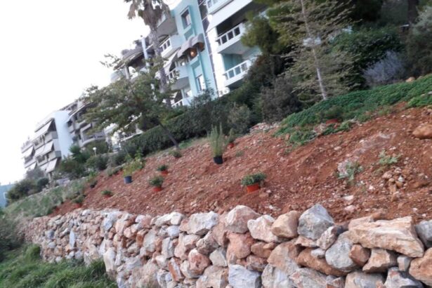 Ο εθελοντισμός ανθίζει: Μια όμορφη ξερολιθιά και το μεγάλο παρτέρι της στολίζουν το πάρκο της οδού Μάνης 41