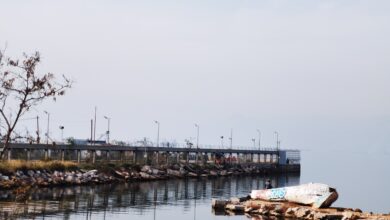 Δράση για να πέσουν τα συρματοπλέγματα στον Σκαραμαγκά - Συμβολικός καθαρισμός της Ακτής 3