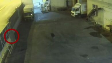 Ιατροδικαστής: Ασφυκτικός ο θάνατος της 8χρονης Όλγας - 20 λεπτά κάτω από πόρτα ενός τόνου! 1