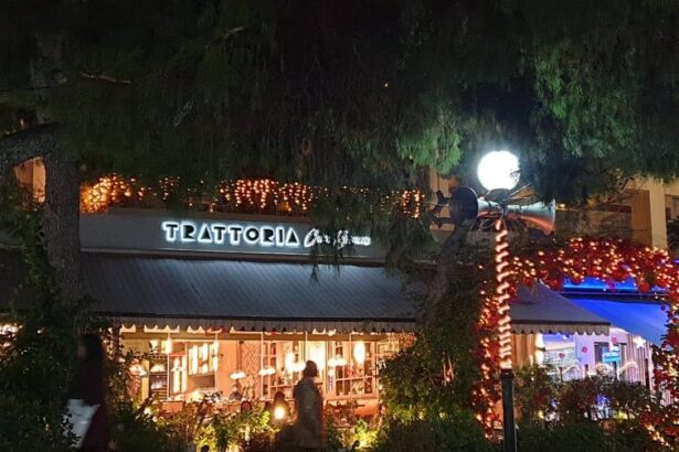 Trattoria Casa Bianca στον μήνα των Χριστουγέννων! 7