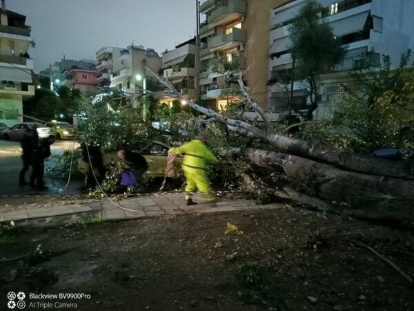 Γλίτωσε από του χάρου τα δόντια για ένα μέτρο! 5