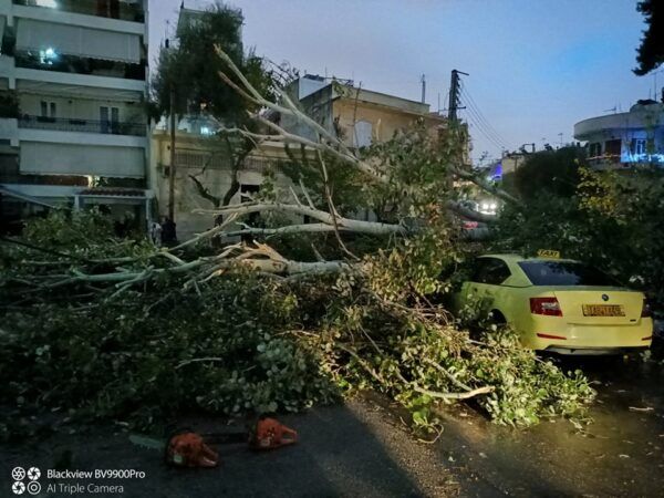 Γλίτωσε από του χάρου τα δόντια για ένα μέτρο! 7