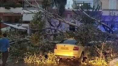 Ο νοτιάς έριξε την τεράστια λεύκα πάνω στο ταξί 27