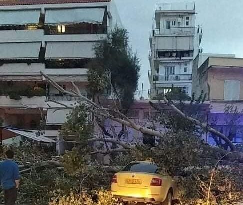 Ο νοτιάς έριξε την τεράστια λεύκα πάνω στο ταξί 27