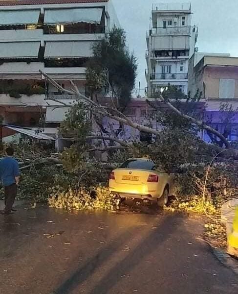 Ο νοτιάς έριξε την τεράστια λεύκα πάνω στο ταξί 2 Ο νοτιάς έριξε την τεράστια λεύκα πάνω στο ταξί 1