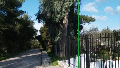 Ένα αξιόλογο έργο ολοκληρώθηκε στην Κάτω Αφαία 11