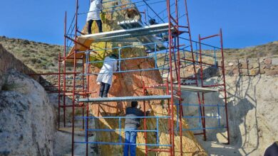 Απολιθωμένο Δάσος Λέσβου: συντήρηση μυθικής σεκόιας 20.000.000 ετών! 12