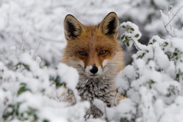 Αποχαιρετάμε την "Ελπίδα" με όμορφες εικόνες από την πόλη και τη φύση της 47