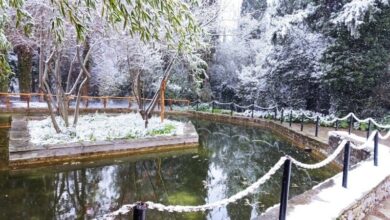 Διομήδειος Κήπος στα λευκά 21