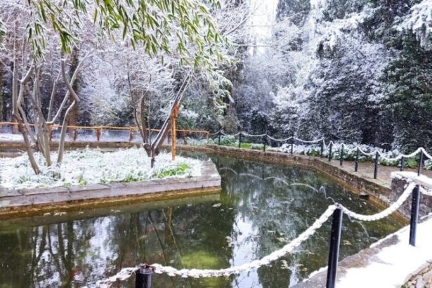 Διομήδειος Κήπος στα λευκά 43