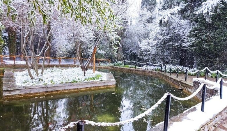 Διομήδειος Κήπος στα λευκά 2 Διομήδειος Κήπος στα λευκά 1