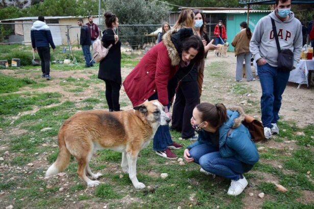 "Δακρύζω που το βλέπω! Μπράβο σας!" - Βίντεο 25