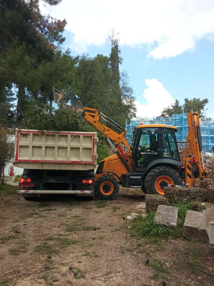 Κόπηκαν επικίνδυνα πεύκα στη Μονή Δαφνίου 6 Κόπηκαν επικίνδυνα πεύκα στη Μονή Δαφνίου 5
