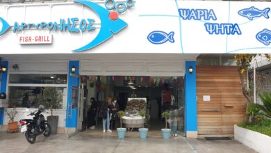 Παράγγειλε από την Αργυρόνησο – Fish & Grill: Take Away & Delivery για την 25η Μαρτίου 91