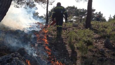 "Προδιαγεγραμμένo πυρ": Πειραματικές καύσεις για την πρόληψη δασικών πυρκαγιών στην Ελλάδα 27