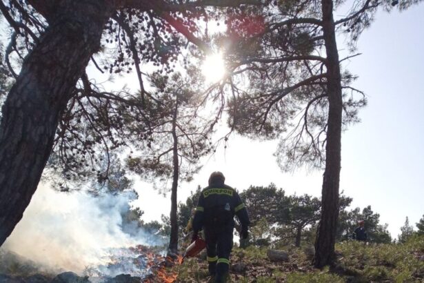 "Προδιαγεγραμμένo πυρ": Πειραματικές καύσεις για την πρόληψη δασικών πυρκαγιών στην Ελλάδα 15