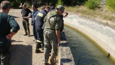 Eπιχείρηση διάσωσης ελαφιού μέσα από το ανοιχτό κανάλι του Μόρνου 36