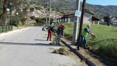 Κάτω Αφαία: Ανοιξιάτικες εργασίες από τους κατοίκους για τη γειτονιά τους 7