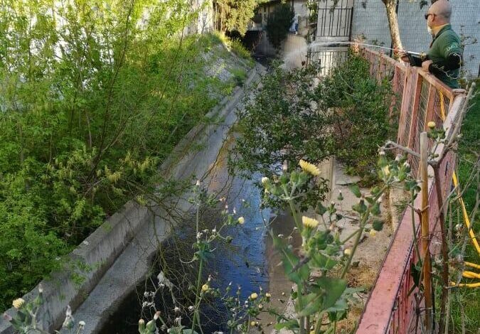 Ψεκασμοί για τα κουνούπια στο Χαϊδαρόρεμα 2 Ψεκασμοί για τα κουνούπια στο Χαϊδαρόρεμα 1
