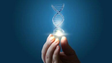 Καρκίνος: Εκταταμένη ανάλυση DNA αποκαλύπτει νέες ενδείξεις για τα αίτια και φέρνει ελπίδες για καλύτερες θεραπείες￼ 3