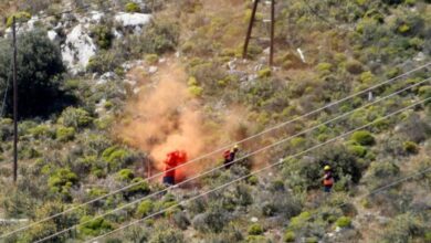Μεγάλη άσκηση για δασική πυρκαγιά σε Ποικίλο - Αιγάλεω 19