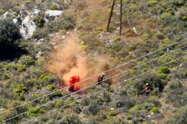 Μεγάλη άσκηση για δασική πυρκαγιά σε Ποικίλο - Αιγάλεω 27