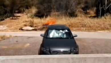 Έτσι ξεκίνησε η σημερινή φωτιά στο Ποικίλο - Βίντεο 15