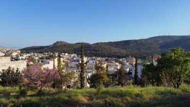 Το πάρκο στολίζει πια την πόλη, αλλά χρειάζεται και... κάτι ακόμα 7