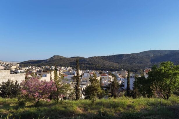 Το πάρκο στολίζει πια την πόλη, αλλά χρειάζεται και... κάτι ακόμα 27
