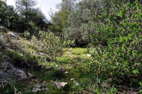 Το μονοπάτι στο Χαϊδαρόρεμα, στον αρχαίο δήμο Έρμου 3 μονοπάτι στο Χαϊδαρόρεμα