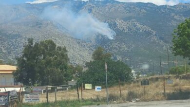 Τώρα: Μεγάλη πυρκαγιά σε δασική έκταση στο Λουτράκι 15