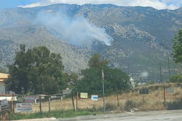 Τώρα: Μεγάλη πυρκαγιά σε δασική έκταση στο Λουτράκι 23