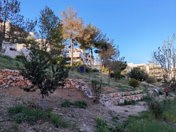 Το πάρκο στολίζει πια την πόλη, αλλά χρειάζεται και... κάτι ακόμα 4 Το πάρκο στολίζει πια την πόλη, αλλά χρειάζεται και... κάτι ακόμα 3