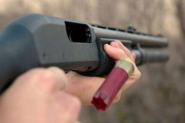 Λαθροθήρες και πυροβολισμοί στο όρος Αιγάλεω 15