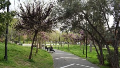 Μπαρουτάδικο: Στα πάρκα ποιας πολιτισμένης χώρας συμβαίνουν αυτά; 16