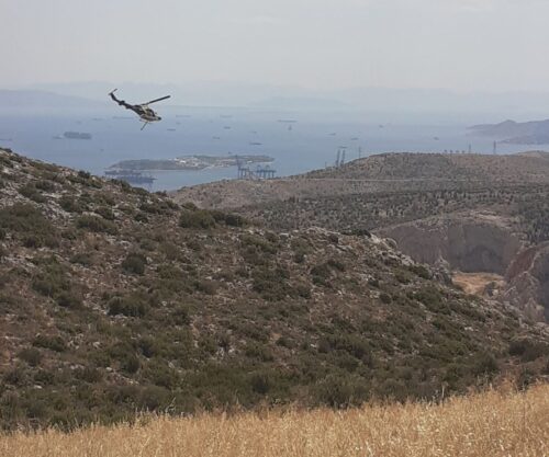 Από βεγγαλικά η φωτιά στο Σχιστό! - Δυο λεπτά διασκέδαση, πολλές χιλιάδες ευρώ κόστος... 10 Από βεγγαλικά η φωτιά στο Σχιστό! - Δυο λεπτά διασκέδαση, πολλές χιλιάδες ευρώ κόστος... 9