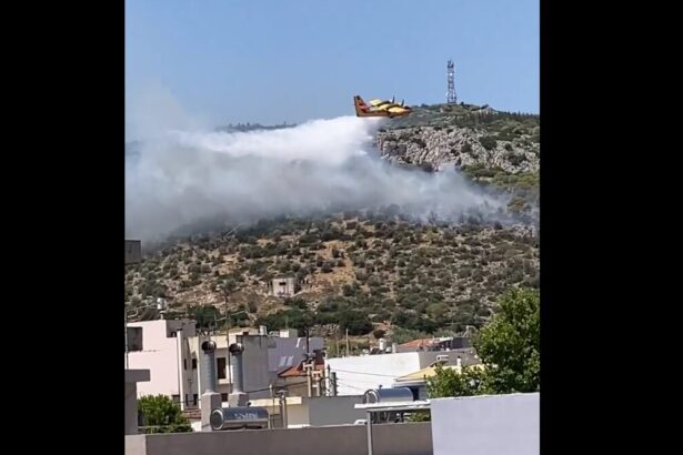 Φωτιά τώρα στο Ποικίλο - Βίντεο 15