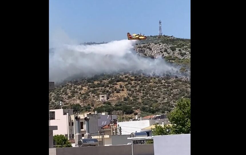 Φωτιά τώρα στο Ποικίλο - Βίντεο 1