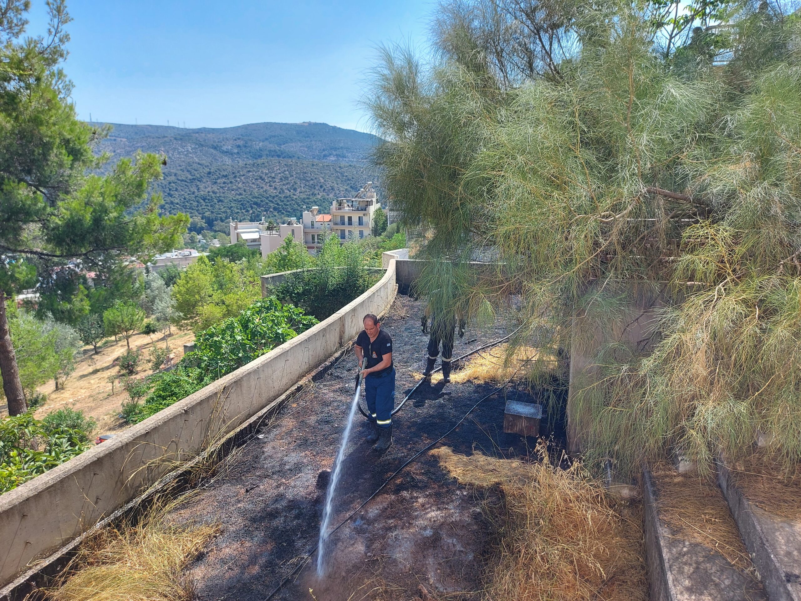 Άνω Δάσος: Αυτή τη φορά η φωτιά μέσα στα σπίτια! - Φλόγες στο προαύλιο του βρεφονηπιακού 8 Άνω Δάσος: Αυτή τη φορά η φωτιά μέσα στα σπίτια! - Φλόγες στο προαύλιο του βρεφονηπιακού 7