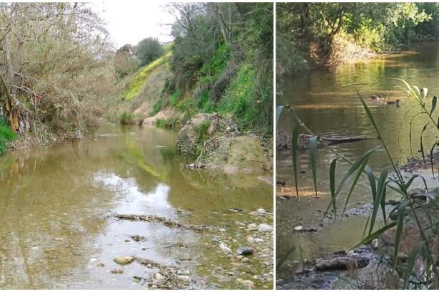Όταν ο βιότοπος του Κηφισού αντιμετωπίζεται ως… οχετός 31