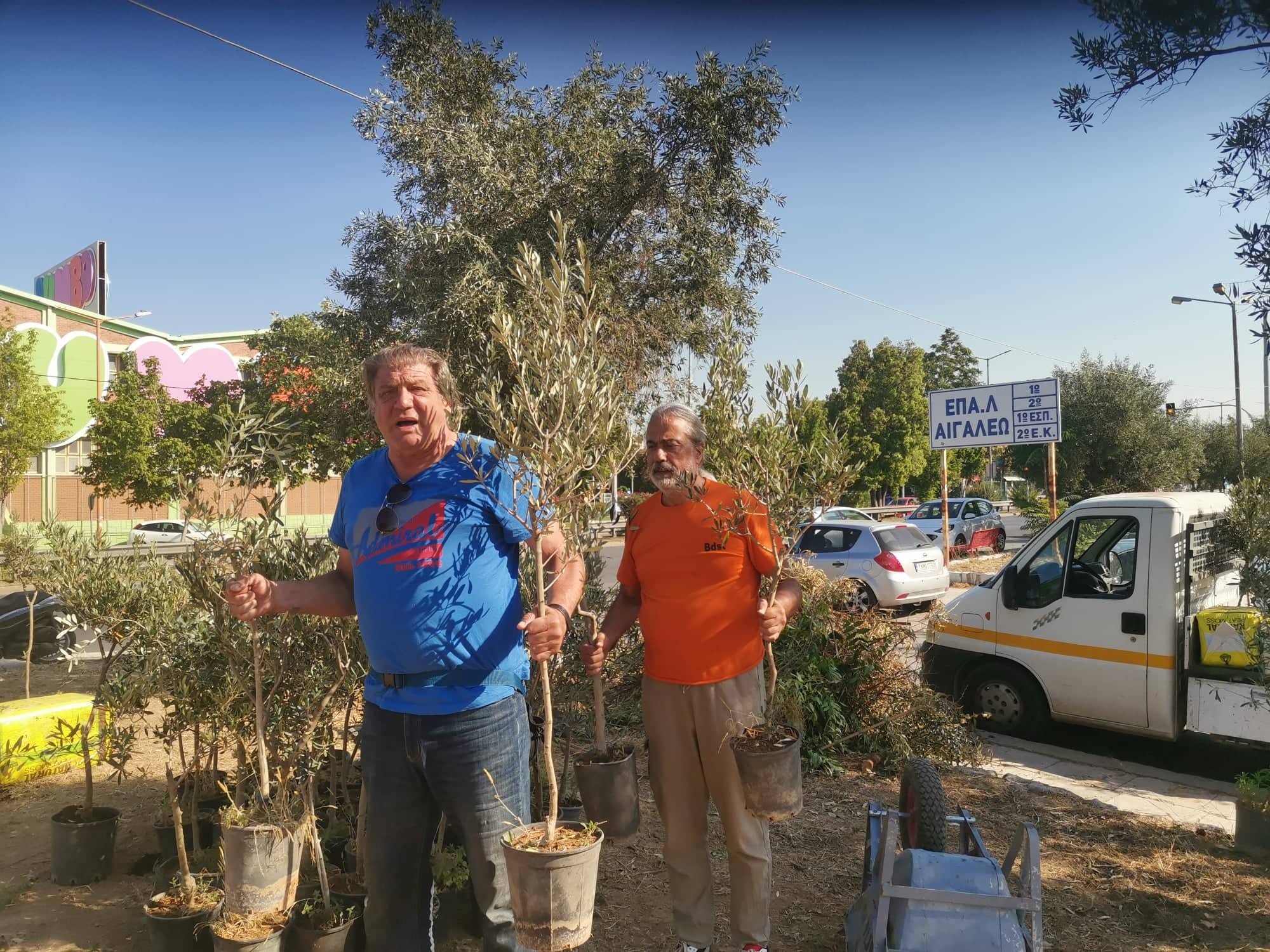 Αιγάλεω: Αναβιώνει τμήμα του αρχαίου Ελαιώνα στη Θηβών 2 Αιγάλεω: Αναβιώνει τμήμα του αρχαίου Ελαιώνα στη Θηβών 1