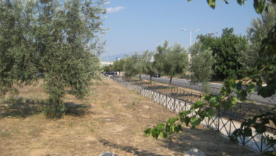 Η υποδειγματική ανάδειξη του ιστορικού Eλαιώνα των Aθηνών σε Πέτρου Ράλλη - Θηβών 36