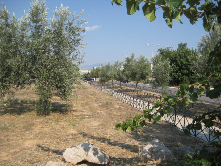 Η υποδειγματική ανάδειξη του ιστορικού Eλαιώνα των Aθηνών σε Πέτρου Ράλλη - Θηβών 1