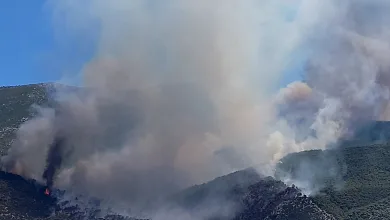 Φωτιά στο Πόρτο Γερμενό 10