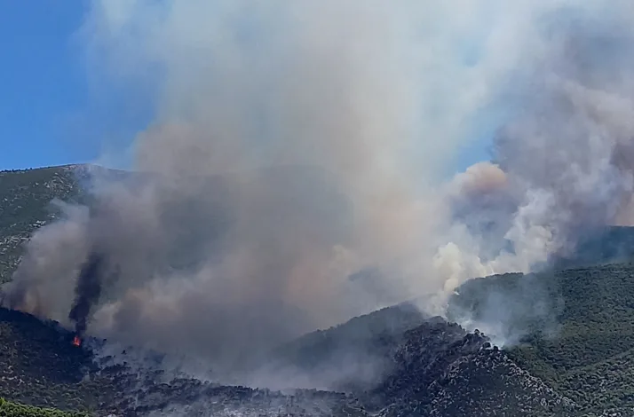 Φωτιά στο Πόρτο Γερμενό 2 Φωτιά στο Πόρτο Γερμενό 1