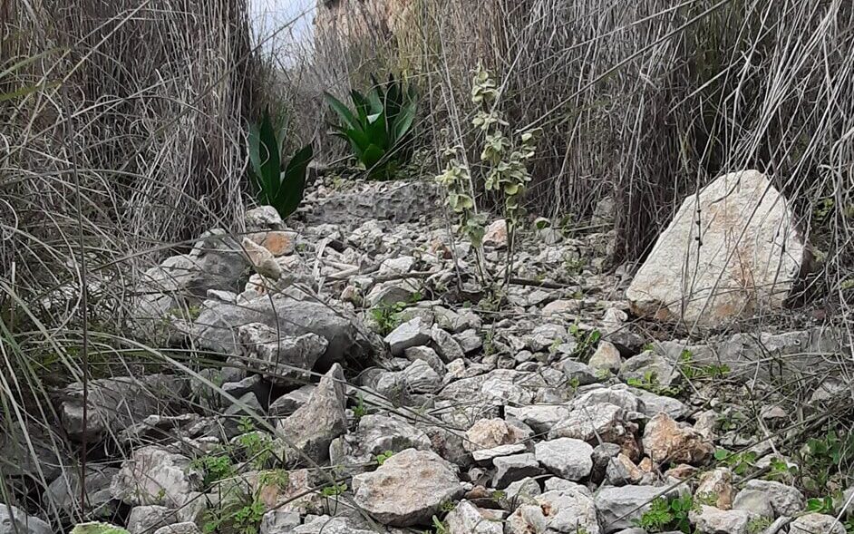 Ελευσίνα: "Μα είναι δυνατόν να είναι αληθινός ο αρχαίος μύθος;" 4 Ελευσίνα: "Μα είναι δυνατόν να είναι αληθινός ο αρχαίος μύθος;" 3
