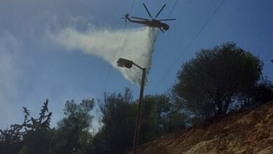 Τεράστιος κίνδυνος για τον Διομήδειο Κήπο 20