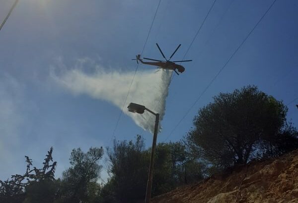 Τεράστιος κίνδυνος για τον Διομήδειο Κήπο 27