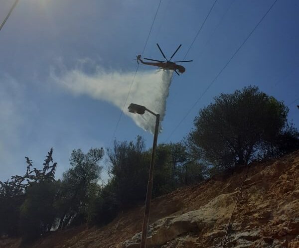 Τεράστιος κίνδυνος για τον Διομήδειο Κήπο 1