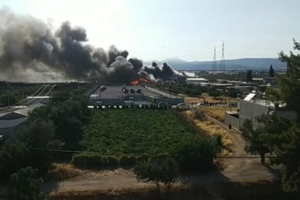 Ασπρόπυργος: Συνεχίζεται η προσπάθεια κατάσβεσης στην αποθήκη ξυλείας 29